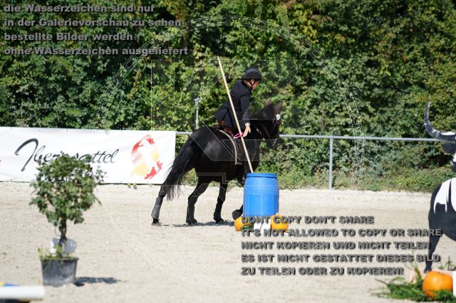 s_K3F03636.JPG